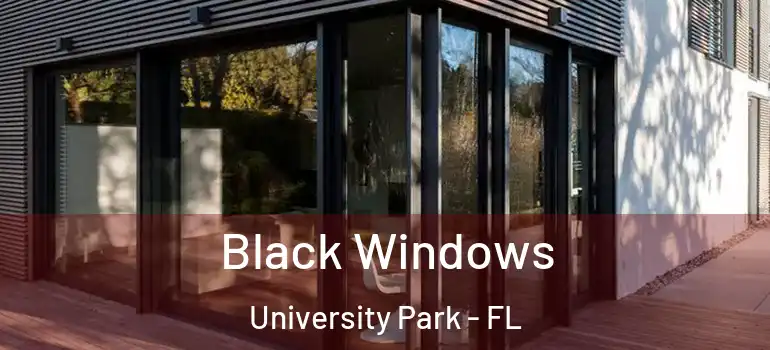 Black Windows University Park - FL