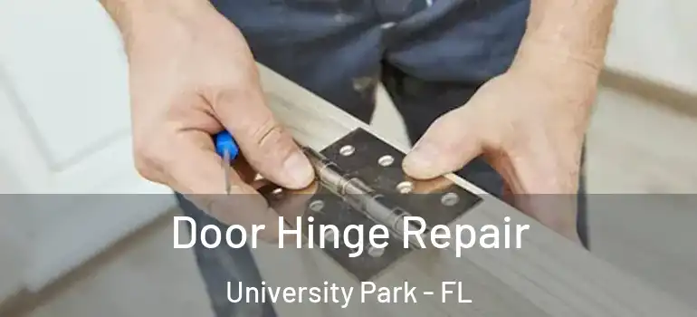 Door Hinge Repair University Park - FL