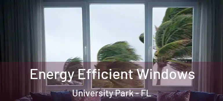Energy Efficient Windows University Park - FL