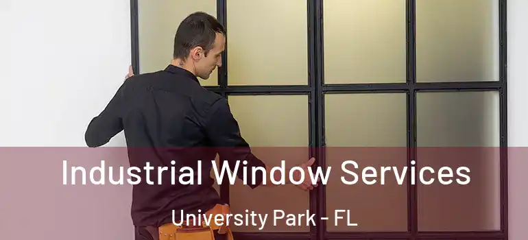 Industrial Window Services University Park - FL