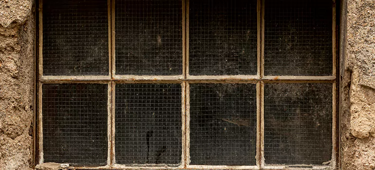 Traditional Double Front Doors in University Park, FL