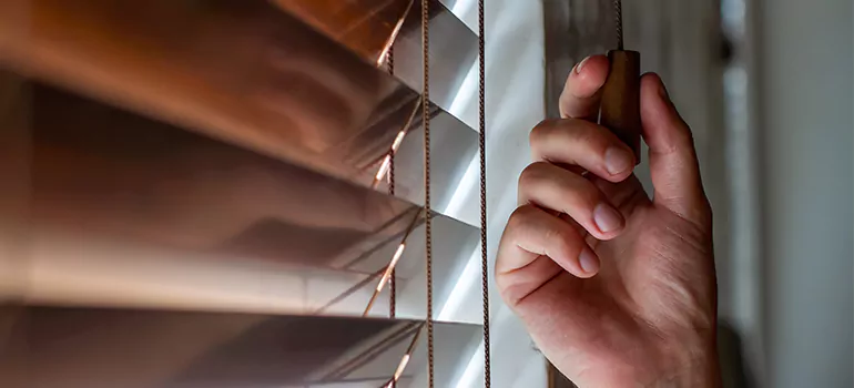 Double Roller Blinds in University Park, FL