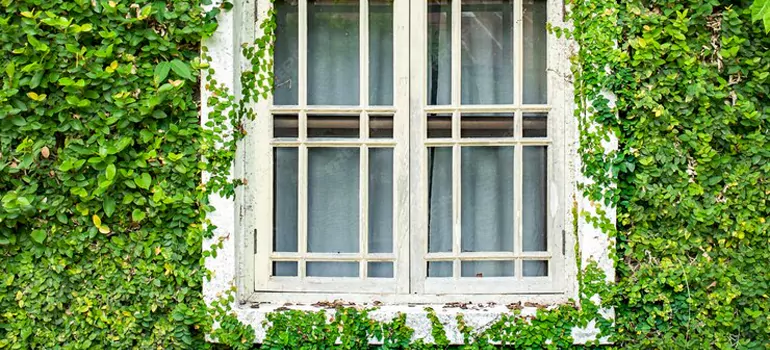Garden Window Repair Near Me in University Park, FL