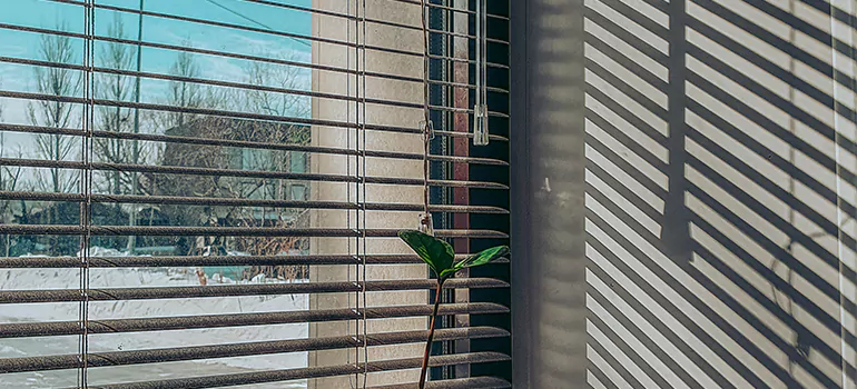 Commercial Window Blinds in University Park, FL