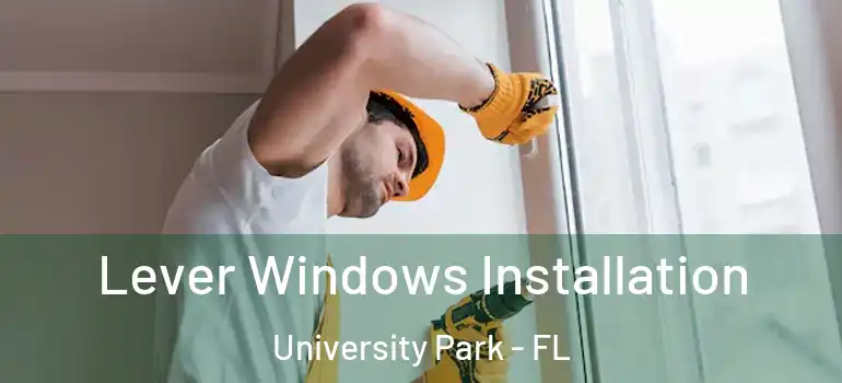 Lever Windows Installation University Park - FL