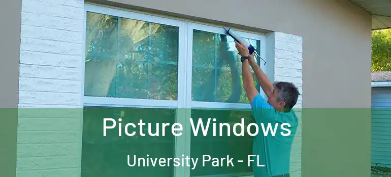 Picture Windows University Park - FL