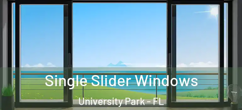 Single Slider Windows University Park - FL