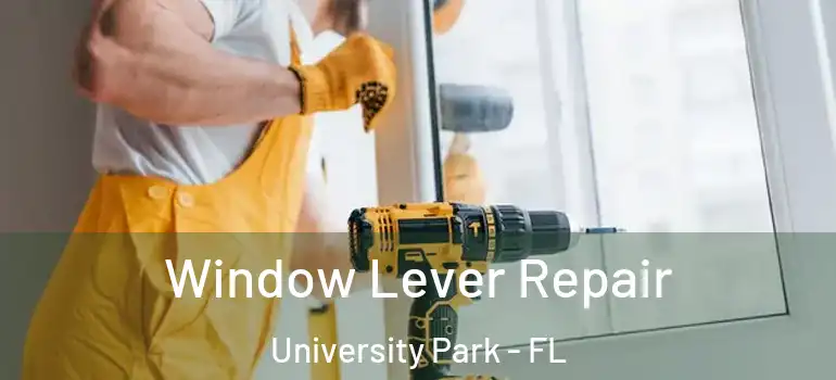 Window Lever Repair University Park - FL