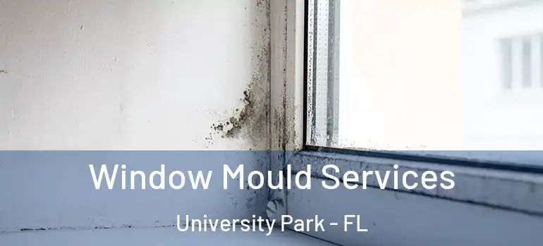 Window Mould Services University Park - FL