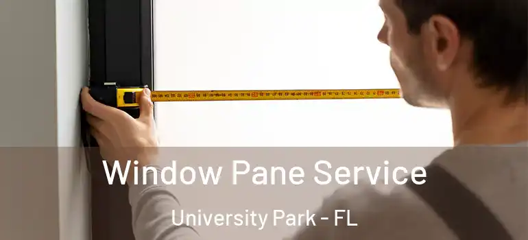 Window Pane Service University Park - FL