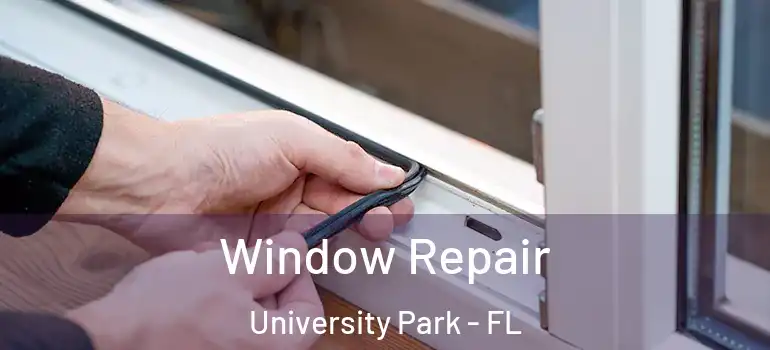 Window Repair University Park - FL